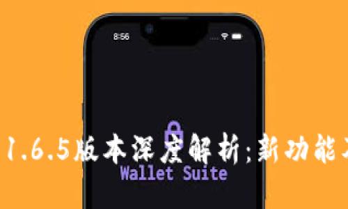 tpWallet 1.6.5版本深度解析：新功能及使用技巧